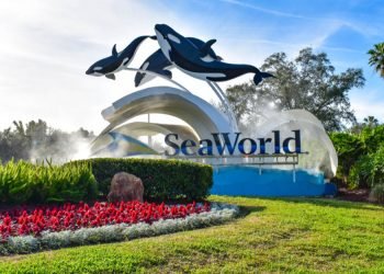 സീ വേൾഡ് അബുദാബി; ലോകത്തിലെ ഏറ്റവും വലിയ കടൽക്കൊട്ടാരം