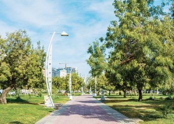 അനുമതിയില്ലാതെ മരം മുറിച്ചാൽ 4 ലക്ഷം രൂപ പിഴ; കടുത്ത നടപടിയുമായി സൗദി അറേബ്യ