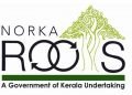 വിദേശ ജോലിക്ക് തയ്യാറെടുക്കുന്ന നഴ്സുമാർക്ക് നോർക്കയുടെ സ്കോളർഷിപ്പോടെ ഓ.ഇ.ടി പരിശീലനം