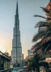 യു എ ഇയിൽ അനധികൃത താമസക്കാരെ പിടികൂടി