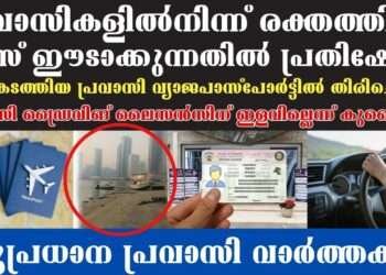 നാടുകടത്തിയ പ്രവാസി വ്യാജ പാസ്‌പോര്‍ട്ടില്‍ തിരിച്ചെത്തി, കസ്റ്റഡിയില്‍നിന്ന് മുങ്ങാനും ശ്രമം