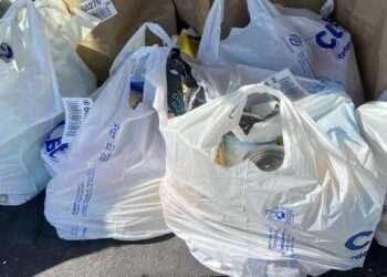 റാസ് അൽ ഖൈമയിൽ ഒറ്റ തവണ ഉപയോഗിക്കാവുന്ന പ്ലാസിറ്റ് ബാഗുകൾക്ക് നിരോധനം വരുന്നു