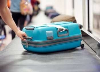 ദുബൈ അന്താരാഷ്ട്ര വിമാനത്താവളം വഴി യാത്ര ചെയ്ത യാത്രക്കാരൻറെ ബാഗിൽ നിന്ന് പിടിച്ചെടുത്തത് പാമ്പും കുരങ്ങൻറെ കയ്യും ചത്ത പക്ഷിയും