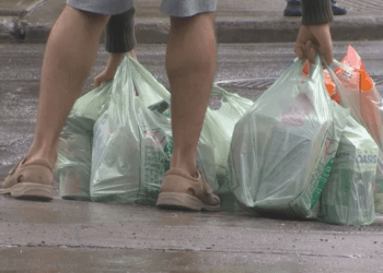 ഒറ്റത്തവണ ഉപയോഗിക്കുന്ന സഞ്ചികൾക്ക് വിലക്ക് ഏർപ്പെടുത്തി ദുബായ്
