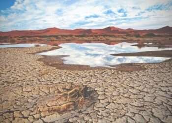 ആഗോള ജലക്ഷാമത്തിന് പരിഹാരം കാണാൻ യു.എ.ഇ പ്രസിഡന്റ് പദ്ധതി പ്രഖ്യാപിച്ചു