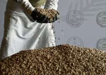 ജിദ്ദ തുറമുഖത്ത് നിര്‍മ്മാണ സാമഗ്രികളുടെ കണ്ടെയ്നറിനുള്ളില്‍ ഒളിപ്പിച്ചു കടത്താന്‍ ശ്രമിച്ച ഒരു കോടിയിലധികം ലഹരിമരുന്ന് ഗുളികകൾ പിടികൂടി അധികൃതർ