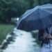 അബുദാബി, യുഎഇ, ഷാർജ, ഫുജൈറ, എന്നിവയിടങ്ങളിൽ നേരിയ മഴ പെയ്തു