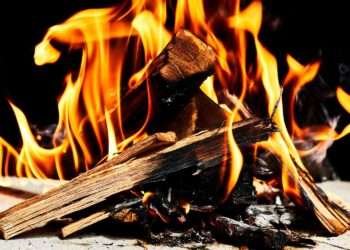 പ്രാദേശിക വിറകുകളും ഉപഉപത്പന്നങ്ങളും ഉപയോഗിക്കുന്നതിന് വിലക്ക് ഏർപ്പെടുത്തി സൗദി