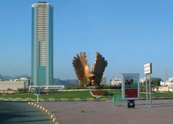 ഫുജൈറയിൽ ചരക്കുനീക്കത്തിന് ഡ്രോണുകൾ; ആദ്യ പരീക്ഷണം വിജയകരം